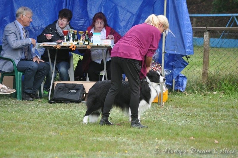 2015 09 20 CAC Brandenburg IMG 1279