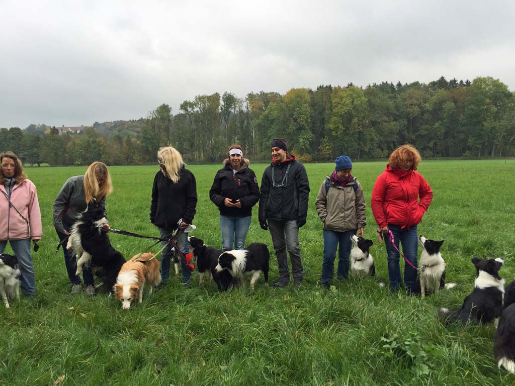 2015 10 11 Traumpfotenspaziergang Guenztal IMG 4916