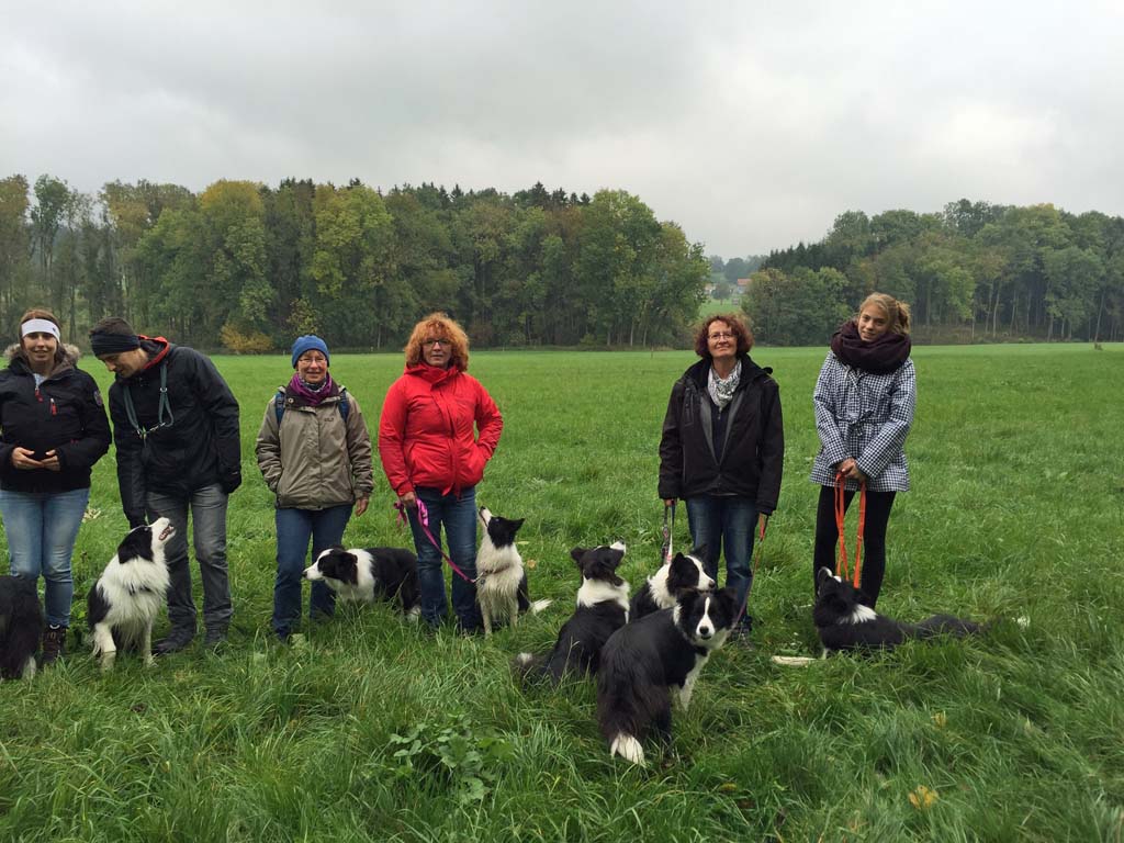 2015 10 11 Traumpfotenspaziergang Guenztal IMG 4917