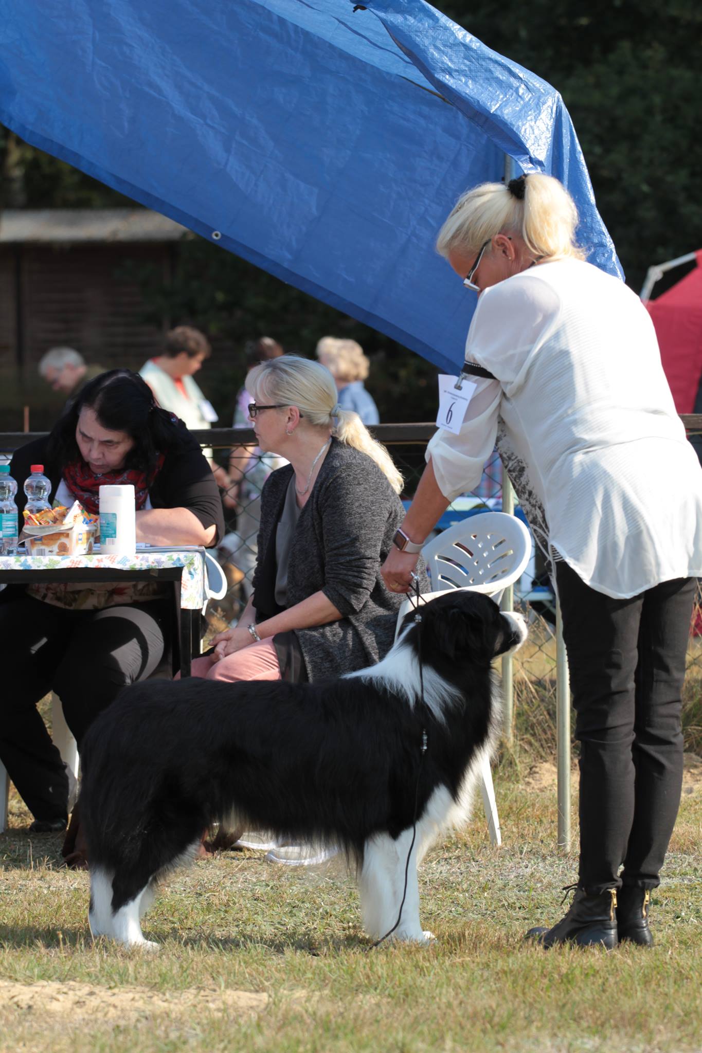 2016 09 25 CAC Brandenburg JJ 01