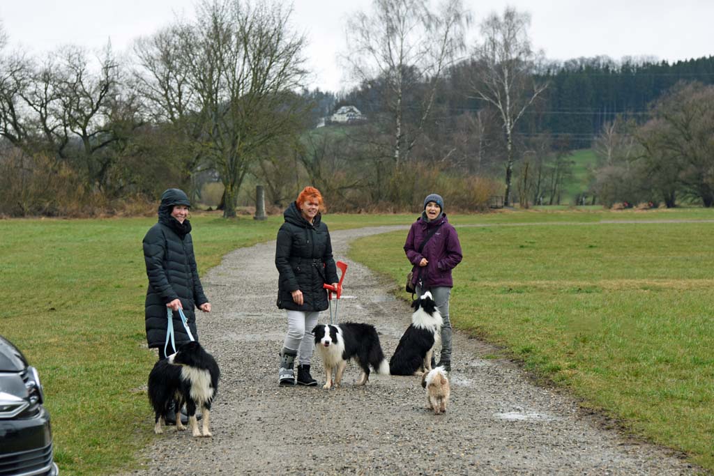 2017 03 18 K Wurf Treffen Guenztal DSC 8928