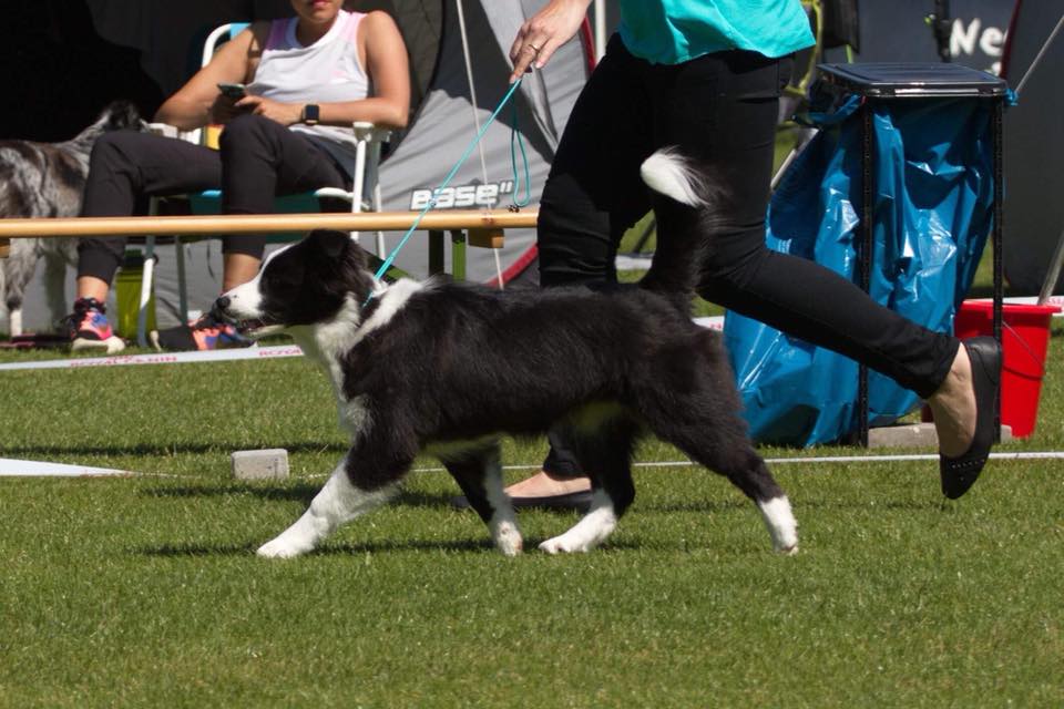 2018 05 20 CAC Magdeburg Bharani