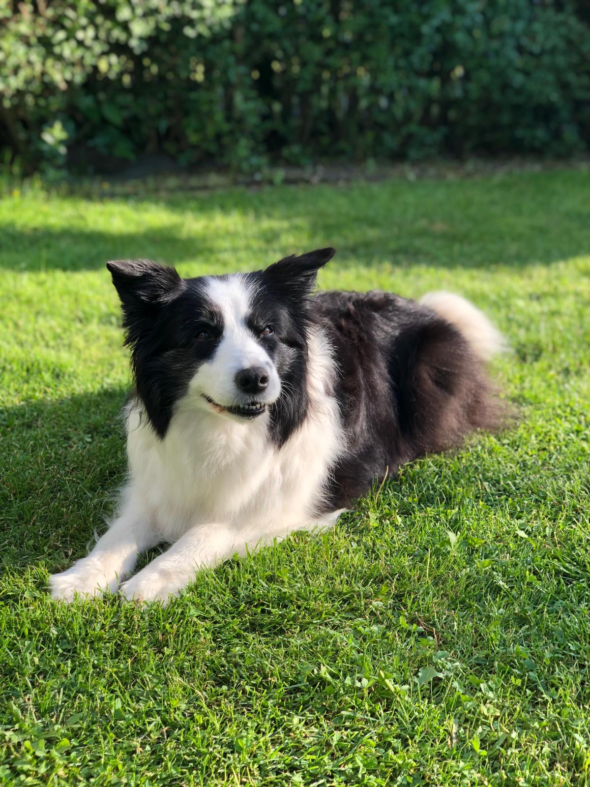 2019 06 21 Shiva 05