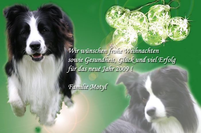 2008 Passion Border Collies