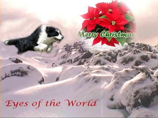 2008 Eyes of the World