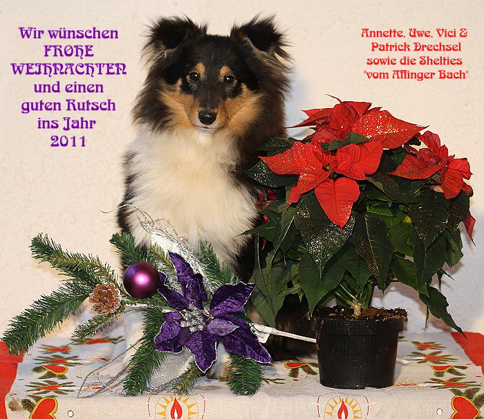 2010_affinger_bach.jpg