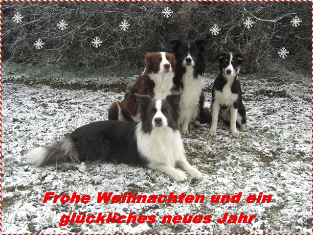 2010_fellmonster.jpg