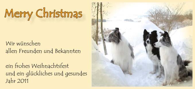 2010_helga_helmer.jpg