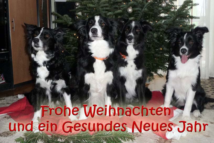 2010_isengrund.jpg