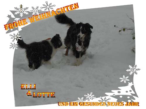 2010_lotte_weihnachtskarte.jpg