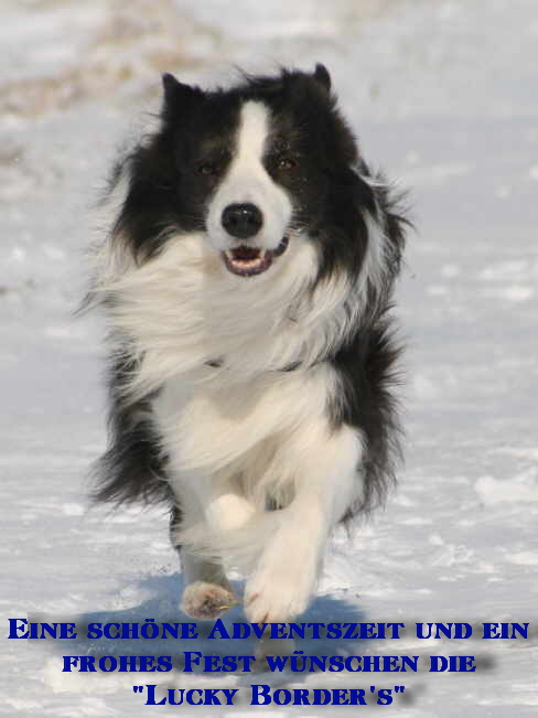 2010_lucky_border.jpg
