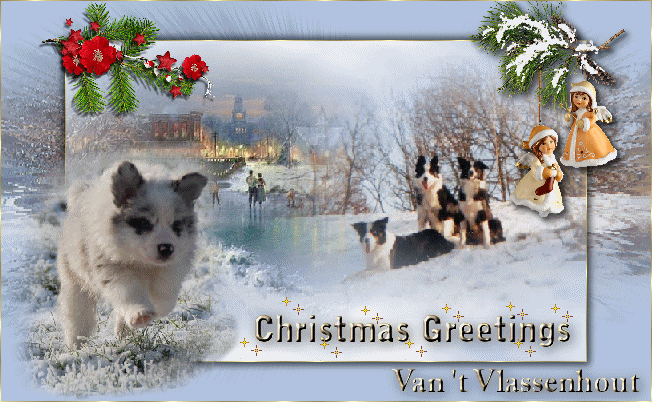 2010_van_t_vlassenhout.gif