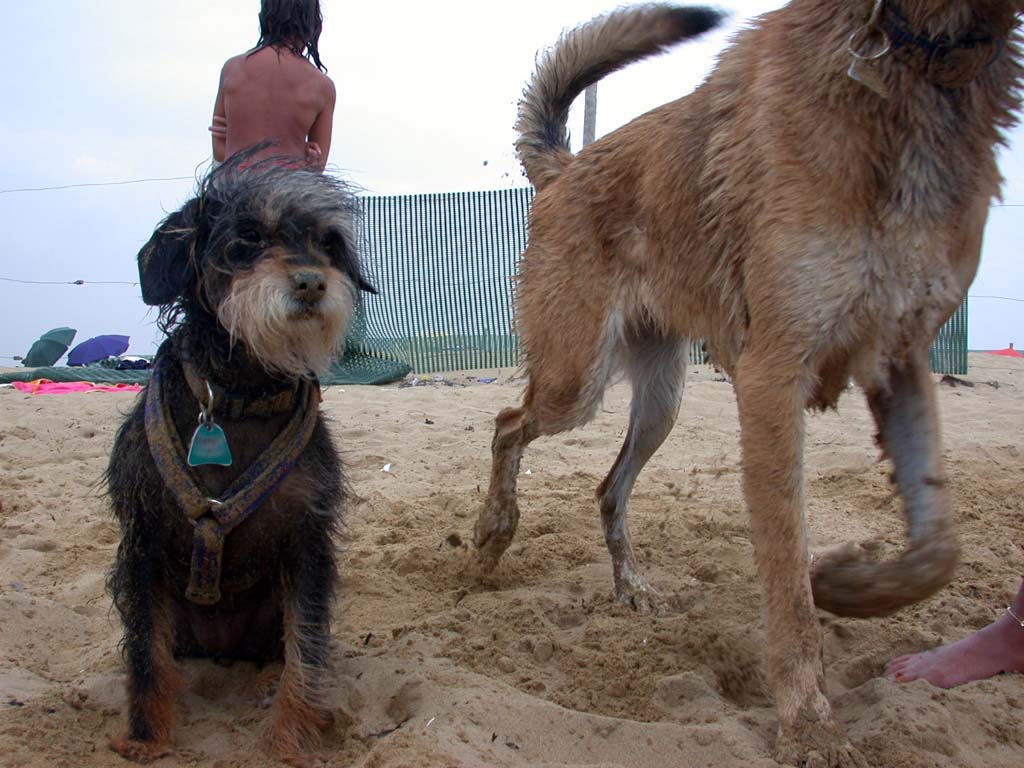 08.2004 Trixi in Italien mit 7 Jahren