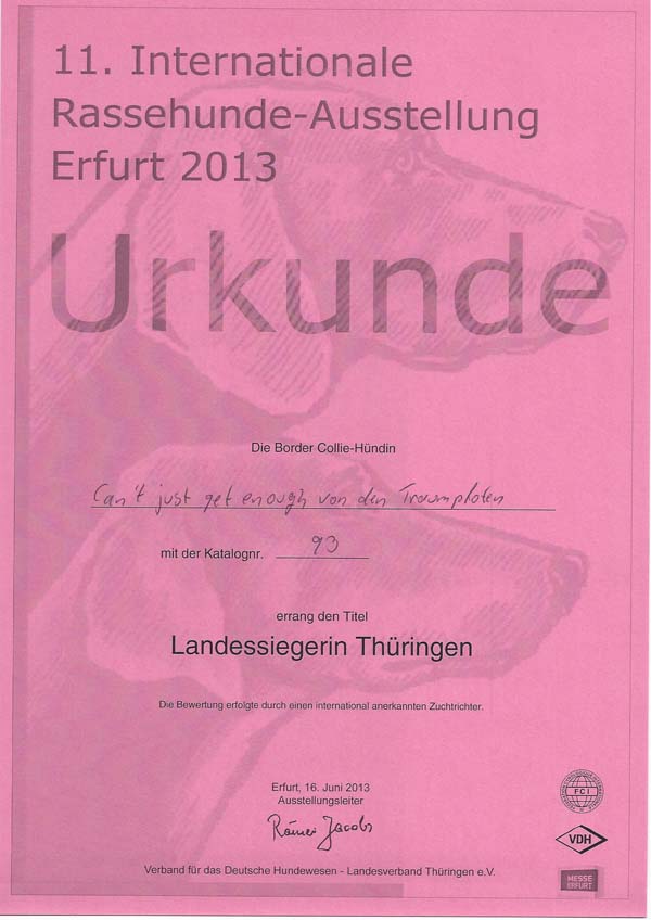 Can't just get enough von den Traumpfoten - Sydney wird Landessiegerin Thüringen 2013