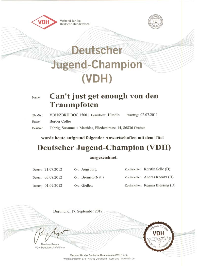 Sydney - Dt. Jgd. Champion VDH