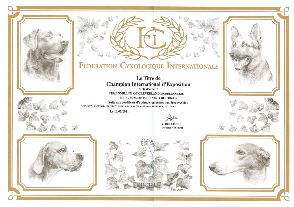 Romeo - Keep Smiling of Cleverland - Internationaler Champion FCI