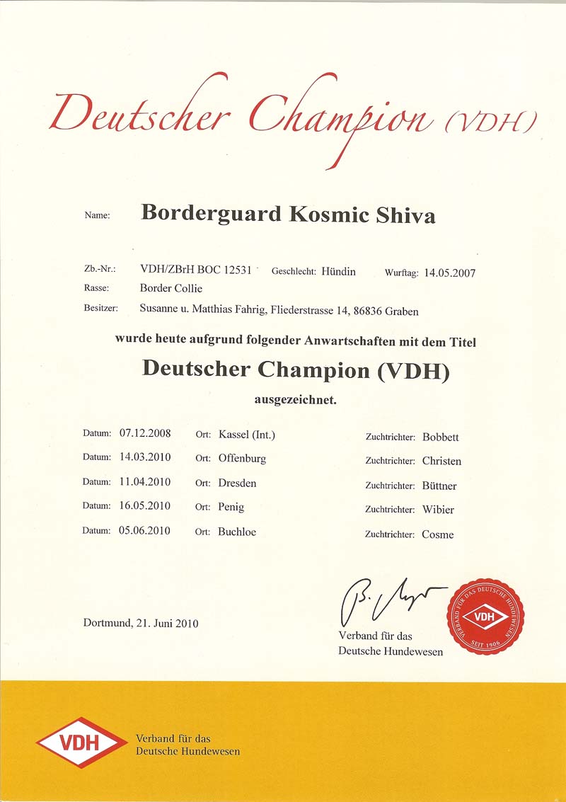 Borderguard Kosmic Shiva - Deutscher Champion VDH