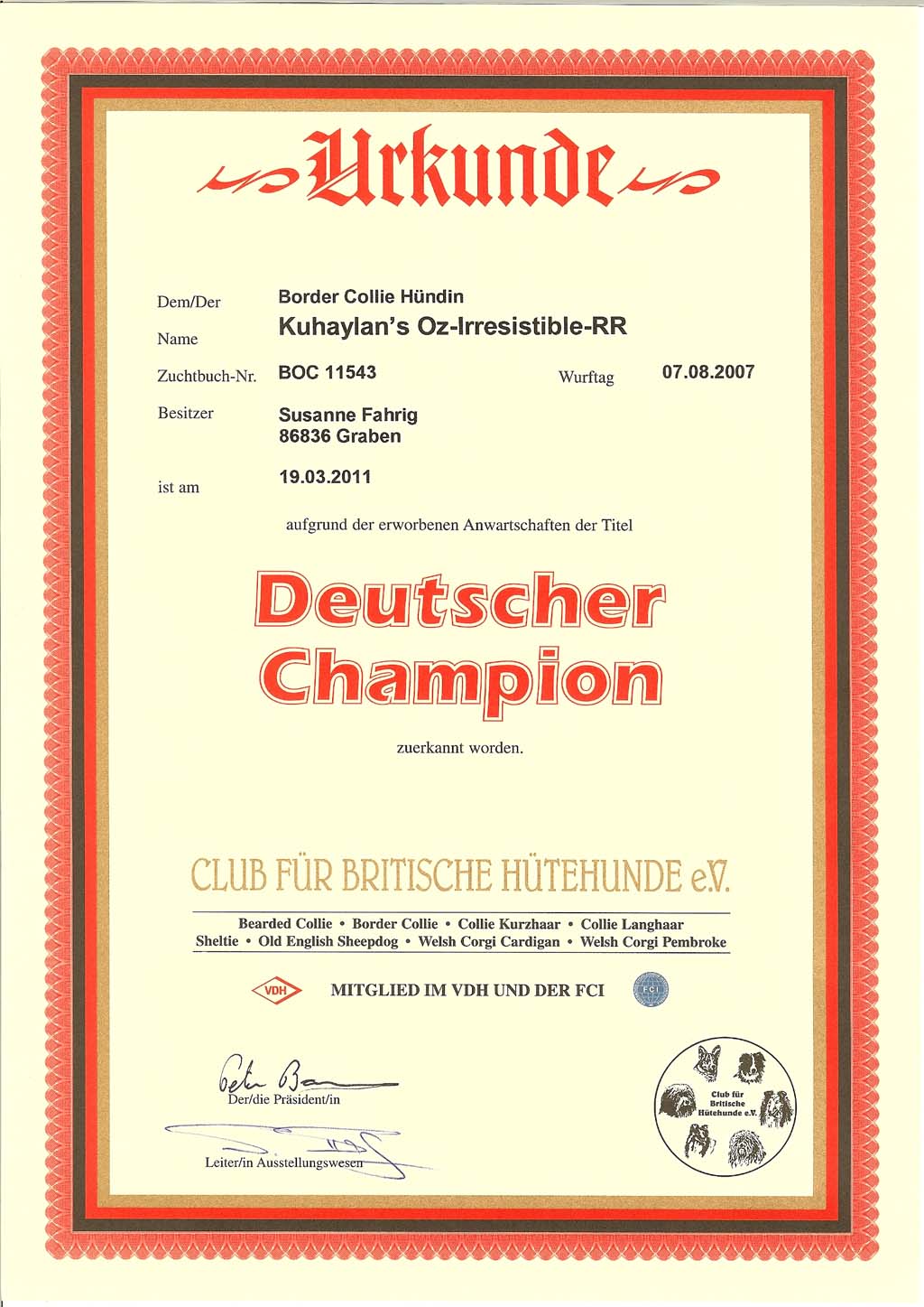 Paige - Deutscher Champion Club Paige - Deutscher Champion Club