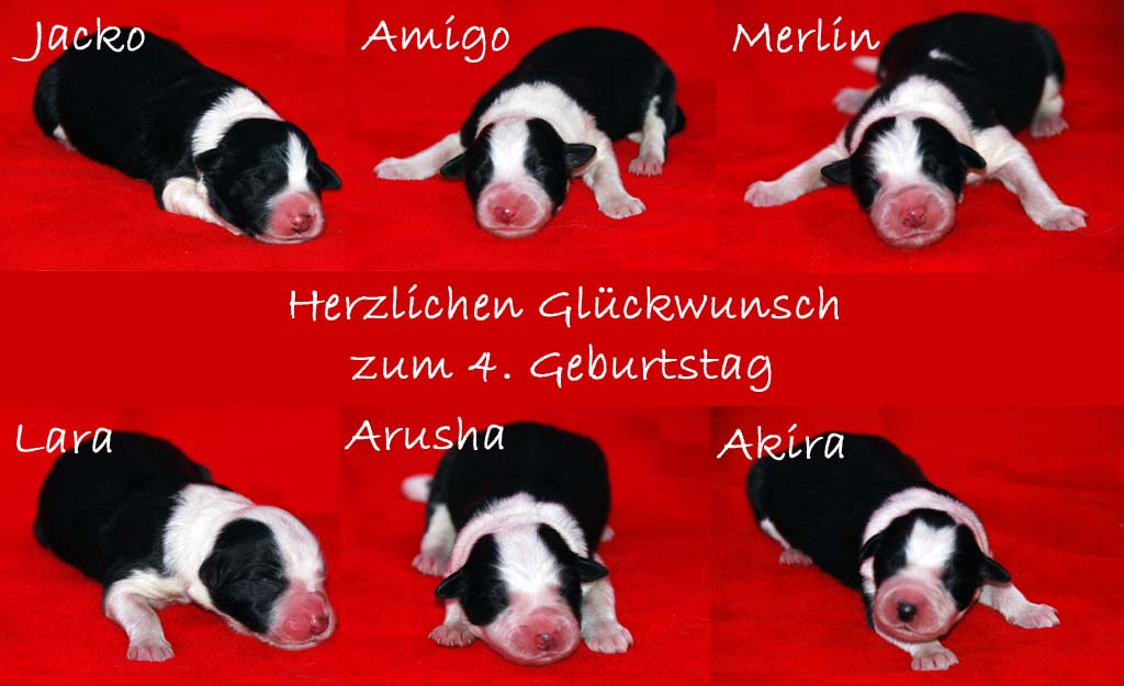 26.06.2013 A-Wurf - 4. Geburtstag