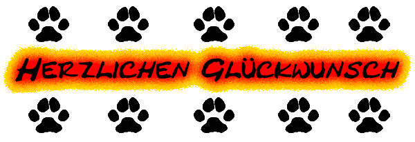Herzlichen Glückwunsch zum ersten Geburtstag Herzlichen Glückwunsch zum ersten Geburtstag
