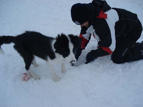 19.12.2010 Bookie mit 19 Wochen