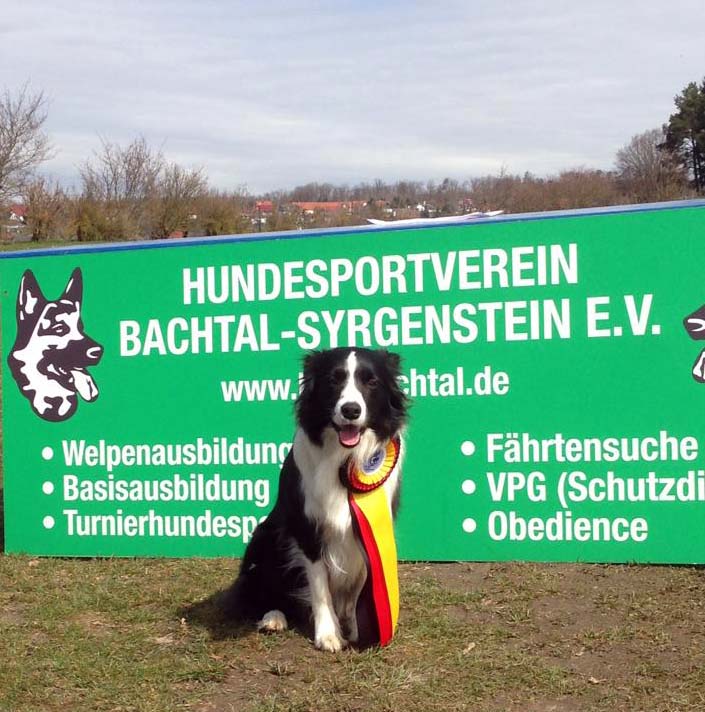 13.04.2013 Romy bekommt V im Obedience-Beginner und wurde sogar Tagessieger