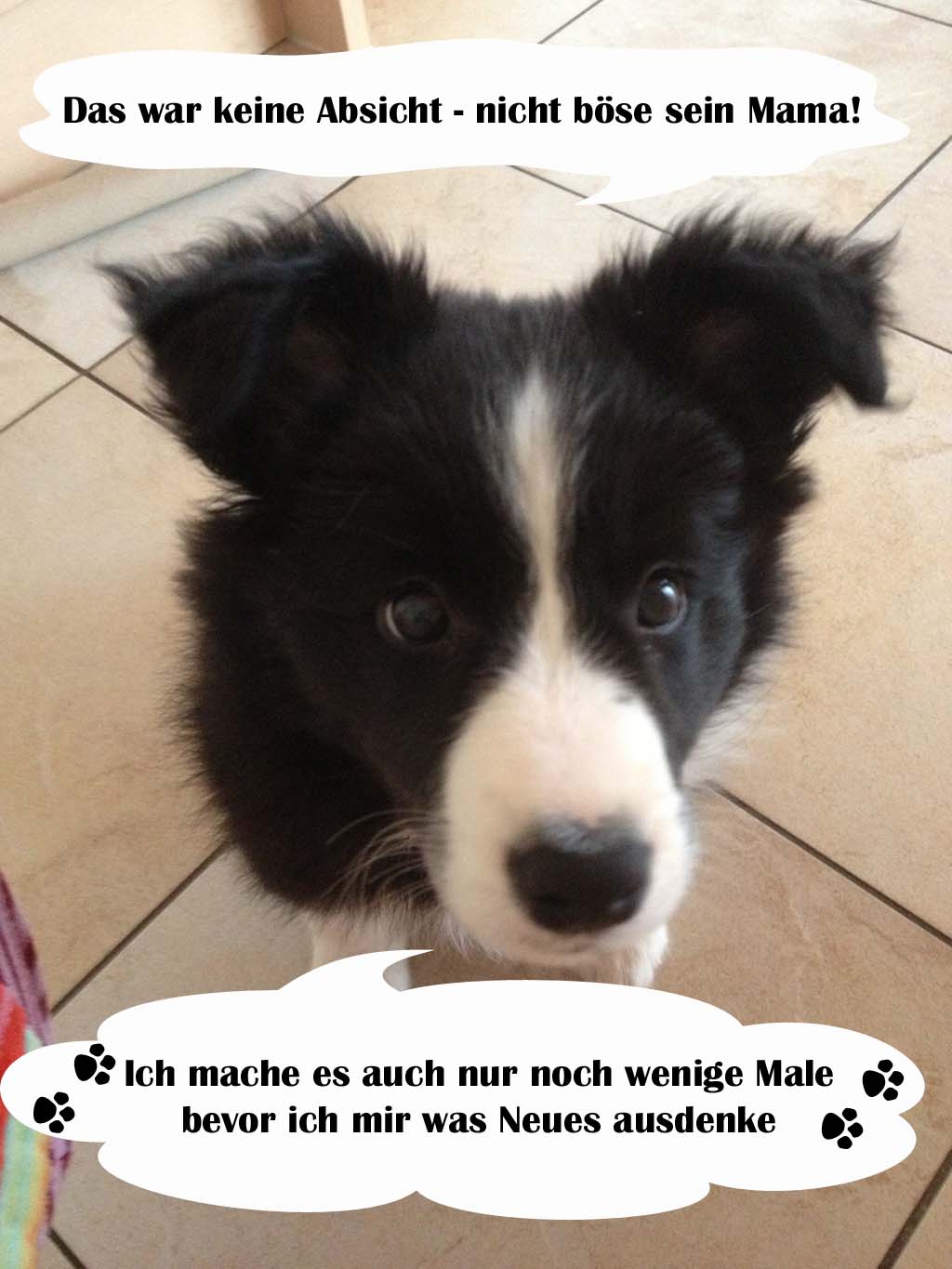 Es war keine Absicht .....