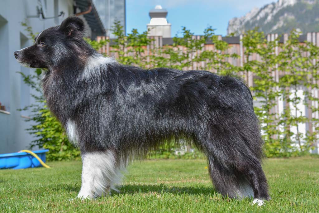2015 05 30 Kaya DSC 3066