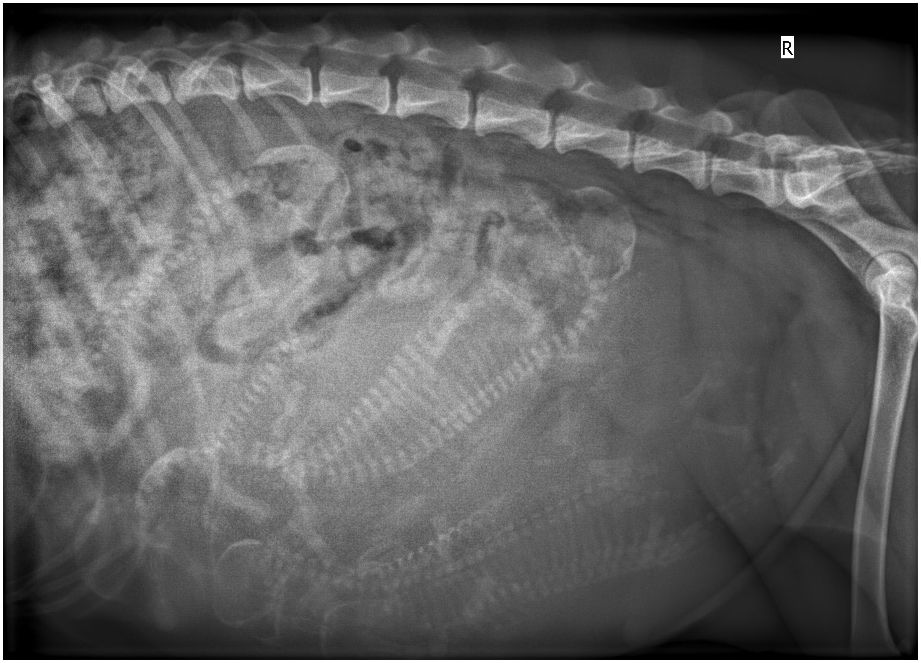 2018 01 29 Roentgen Tag 55 Seite