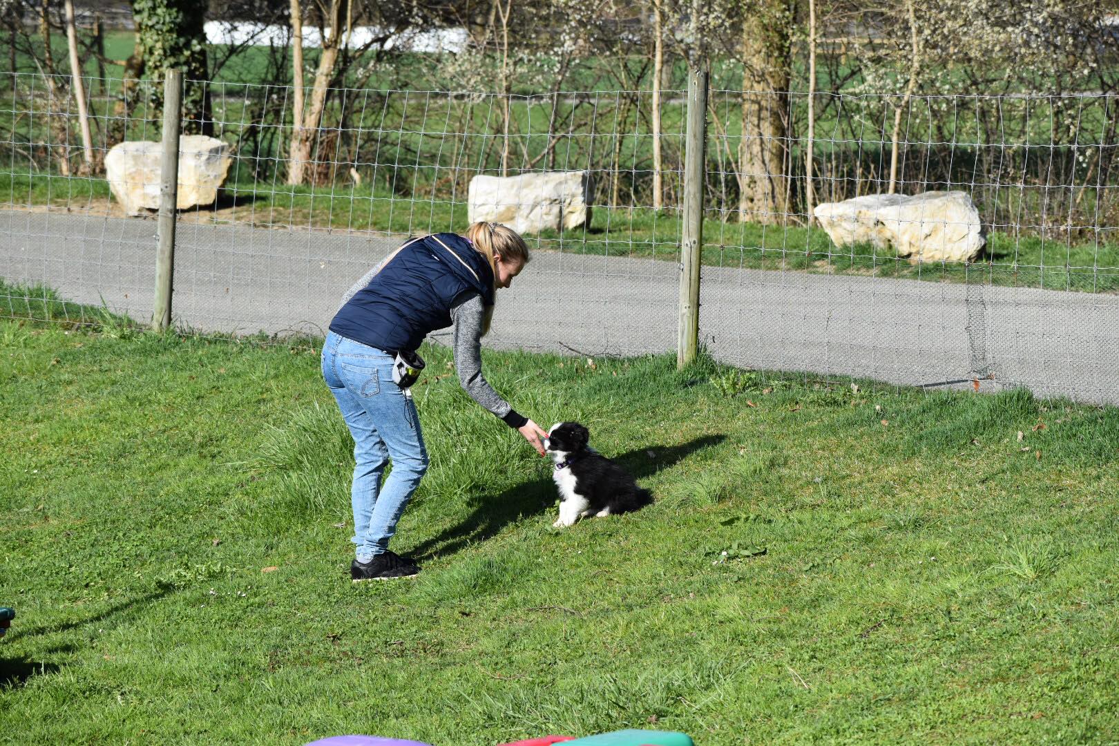 2018 04 07 Phila Hundeschule 01