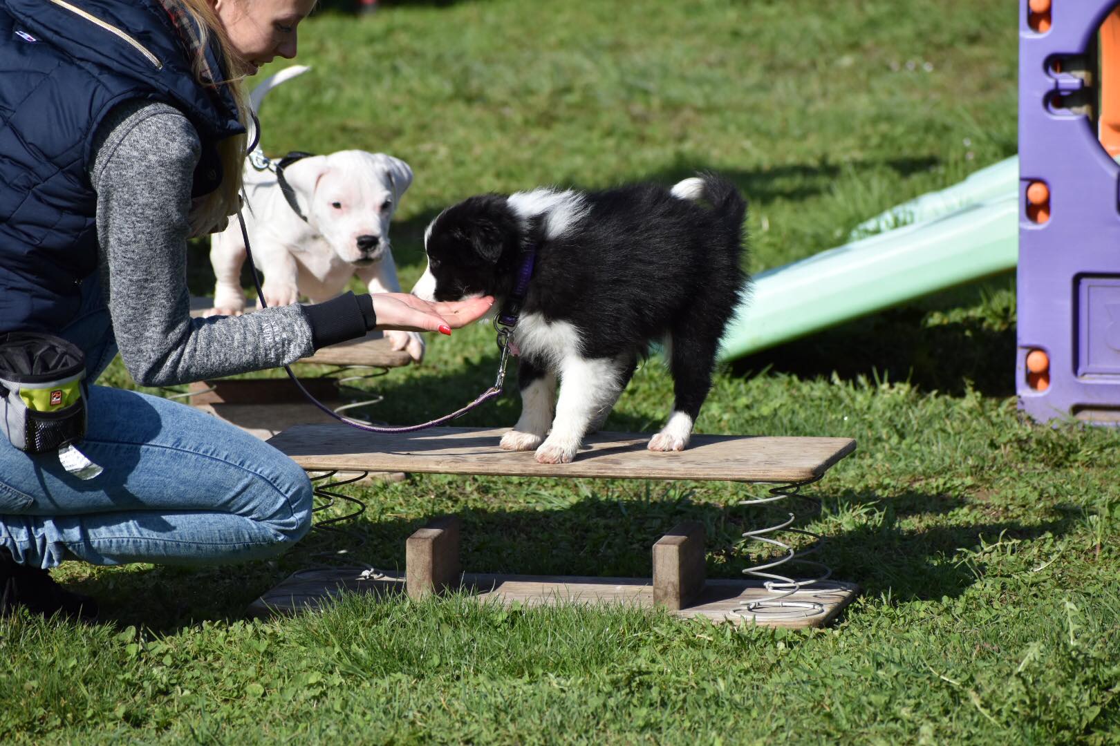 2018 04 07 Phila Hundeschule 06