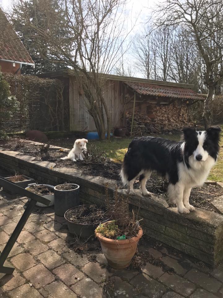 2018 04 08 Mollie und Tessie 02